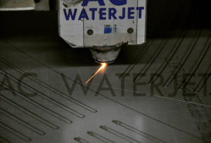 WATER PARK -SS-LOSER CUT 1-4 INCH 2